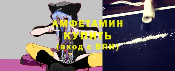 амф Магас