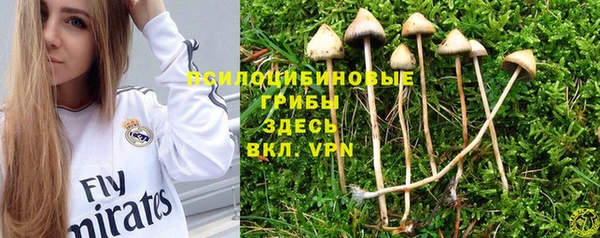 амф Магас
